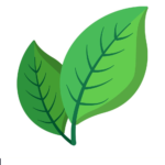 icono hojas verdes